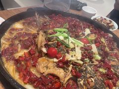 -老板恋上鱼(恒隆广场店)