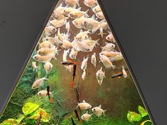 -嘉兴海底世界