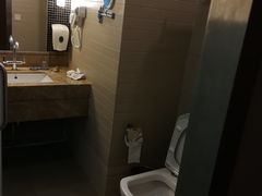 -北京望京华彩智选假日酒店