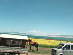 -青海湖国家重点风景名胜区