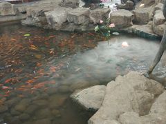 -森谷美食公园(杨行店)