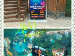 鲨鱼潜水俱乐部-波塞冬旅游度假区