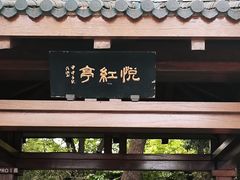 -贡湖湾湿地公园
