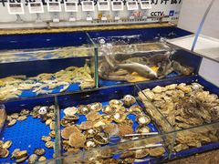 水产区-高佳庄·舟山海鲜(海景旗舰店)