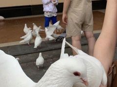 -王府井奥莱临潼小镇(临潼店)