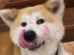 -YCHL Studios健身工作室(市二宫店)