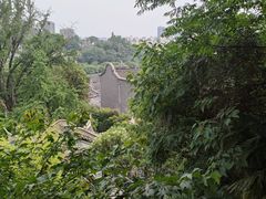 -伯先公园
