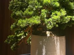 -江南足纪·影院足道·轻奢SPA(笋岗HALO广场店)