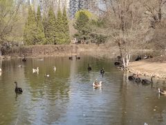 -长白岛森林公园