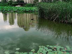 -前关湿地公园