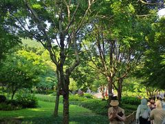 -普陀山慧济禅寺