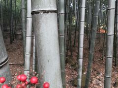 -南京市无想山景区