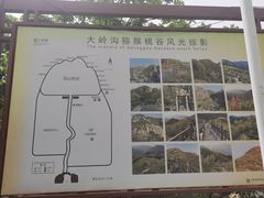 -大岭沟猕猴桃谷风景区