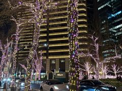 -北京国贸大酒店