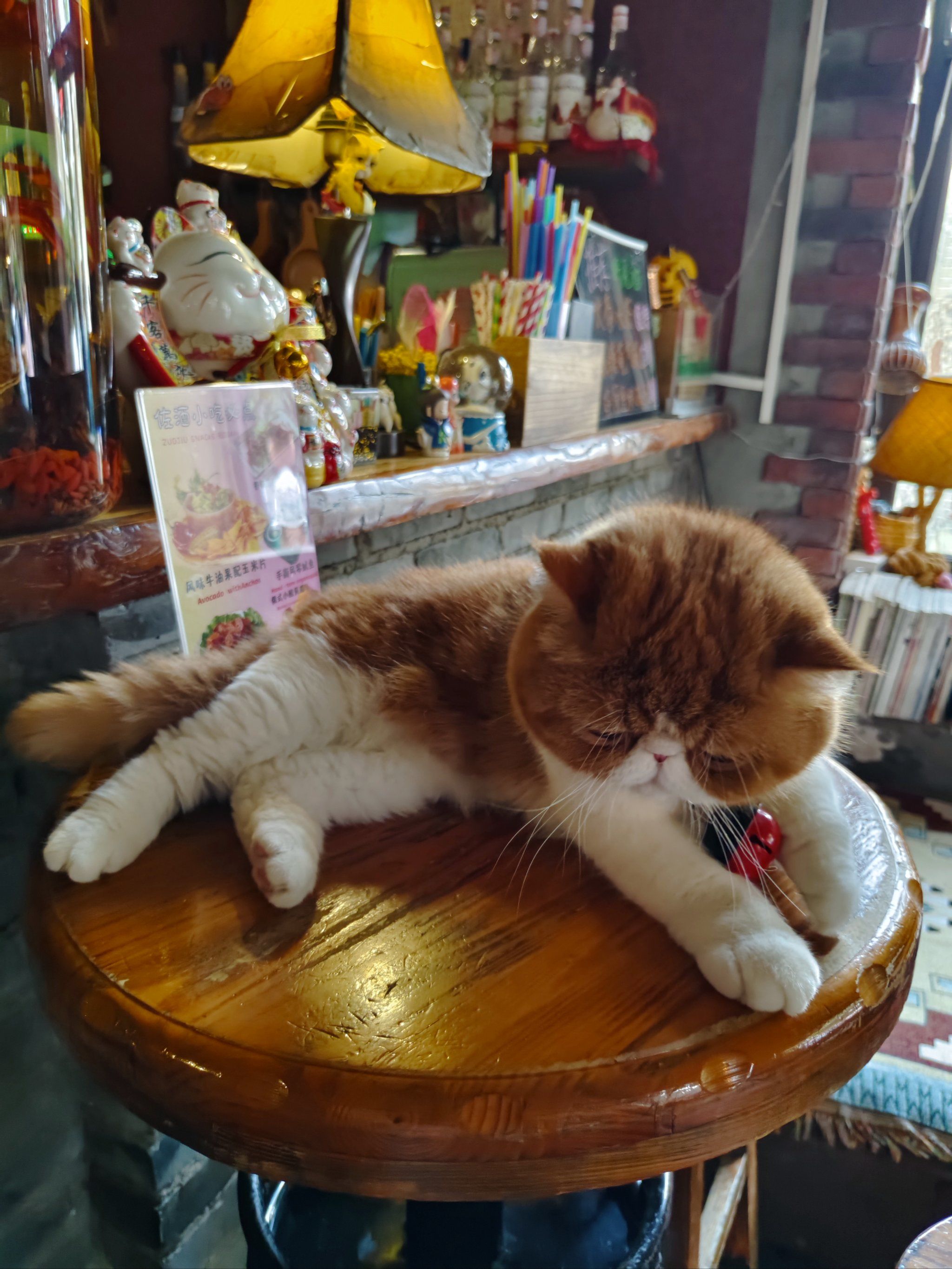 南锣鼓巷这家店的猫猫好可爱,黑芝麻拿铁也