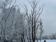 -中旅松花湖滑雪场