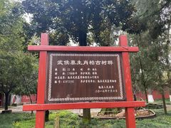 -武侯墓风景区