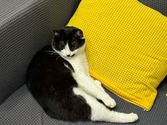 -路易时光(蕴川路店)