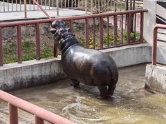 -青藏高原野生动物园