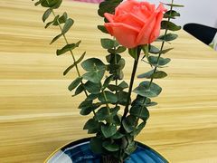 -樱花国际日语(仓山万达中心)