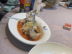 -春茗熙