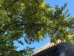 -红螺寺