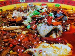 鱼片锅-川渝饭店