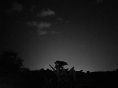 -西双版纳融创皇冠假日度假酒店