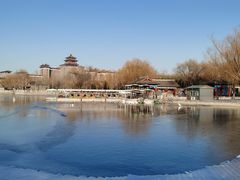 -莲花池公园