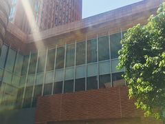 -香港大学