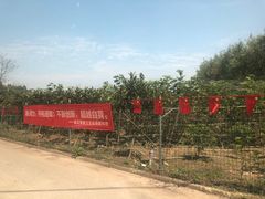 -武汉世外桃源农庄