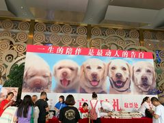 -天幕新彩云国际影城(激光巨幕店)