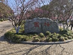 -上海海湾国家森林公园