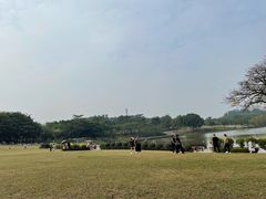 -东莞植物园