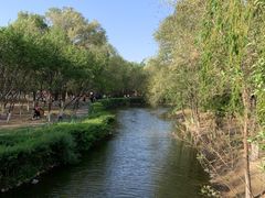 -长白岛森林公园