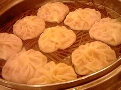 纯猪肉-海洁灌汤包(南五马路店)