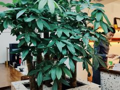 -Line 咖啡(石厦花园店)