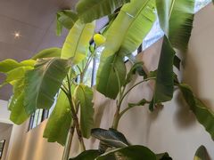 -单家老院·院子里的青岛菜(沙子口店)