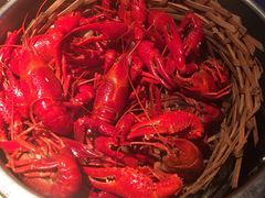 -蚝翅·海鲜粥·烧烤·宁夏滩羊季(玉米楼店)