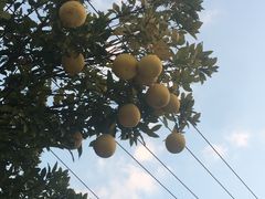 -天目湖御水温泉·度假酒店