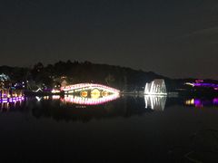 -大塘金香草谷