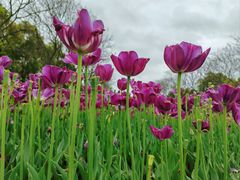 -玄武湖景区-情侣园游乐场