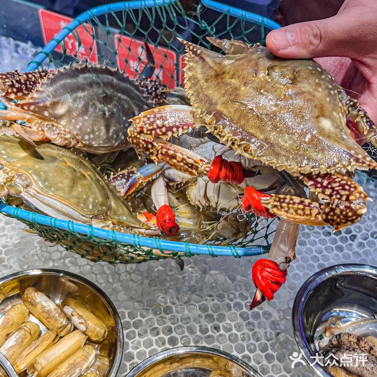 关于我在海鲜火锅大排档把虾滑当馍啃这件事