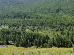 -莫尔道嘎国家森林公园