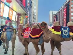 -同至人购物中心(朝阳街店)