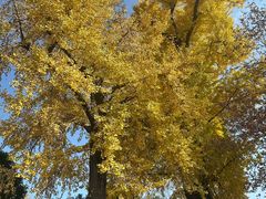 -狼山风景名胜区