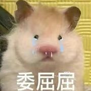 -海底捞火锅(万达广场店)