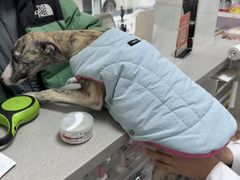 -美美宠物诊疗中心·异宠·骨科(滨江东信分院)