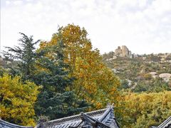 -青岛崂山太清宫