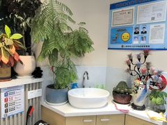 -顶巧鸡汤馄饨(虹口总店)